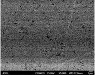 Micro-structure photo for the nanometer tungsten carbide material without binder phase